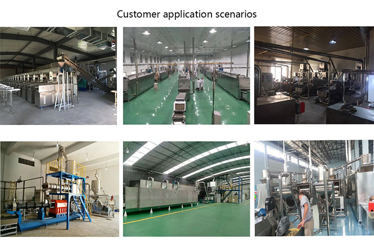 Fully automatic baby rice noodle production line Complete set of rice noodle production equipment Twin-screw extruded nutritional rice noodle equipment